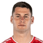 尼利斯